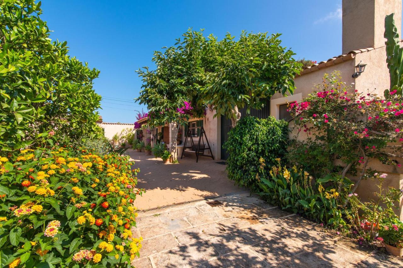 Petit - Rural Apartament Capdepera (Mallorca)
